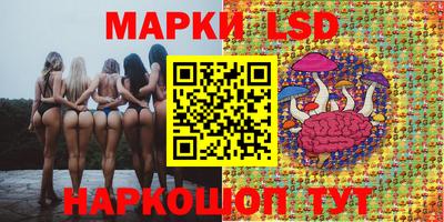 первитин Новодвинск