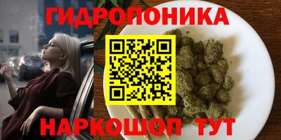 первитин Новодвинск