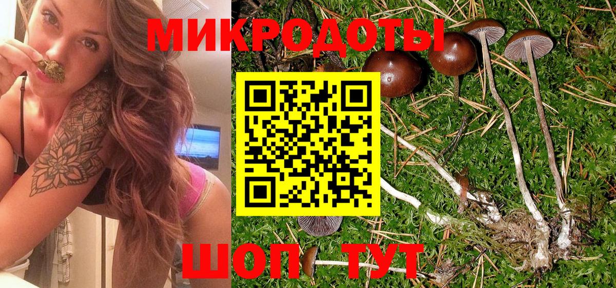 Псилоцибиновые грибы ЛСД Янаул