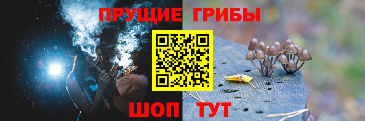 Псилоцибиновые грибы мухоморы  Вход с VPN  Янаул 